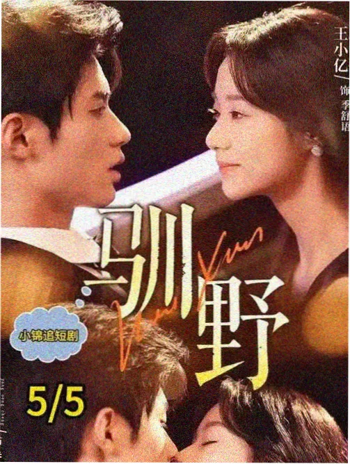 第九个证人 刑侦推理剧海报